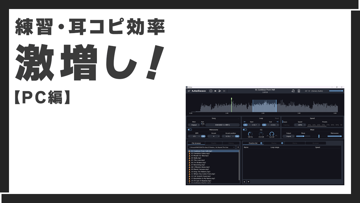 ギター練習用プレイヤーMelissa
